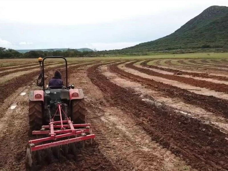 Sustainable Coffee Production in Zambia