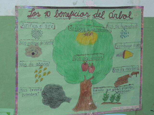 Arboles y Futura