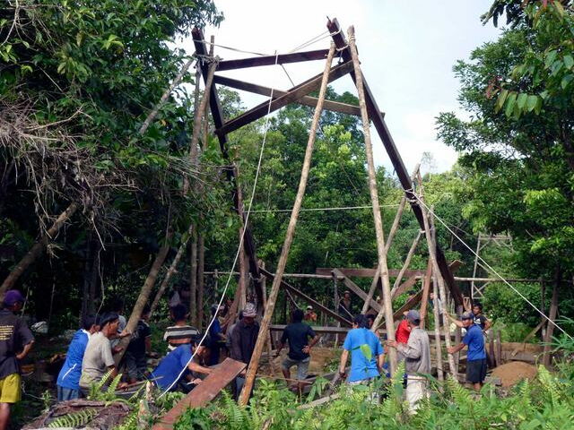 Bridges in the rainforest of Borneo
