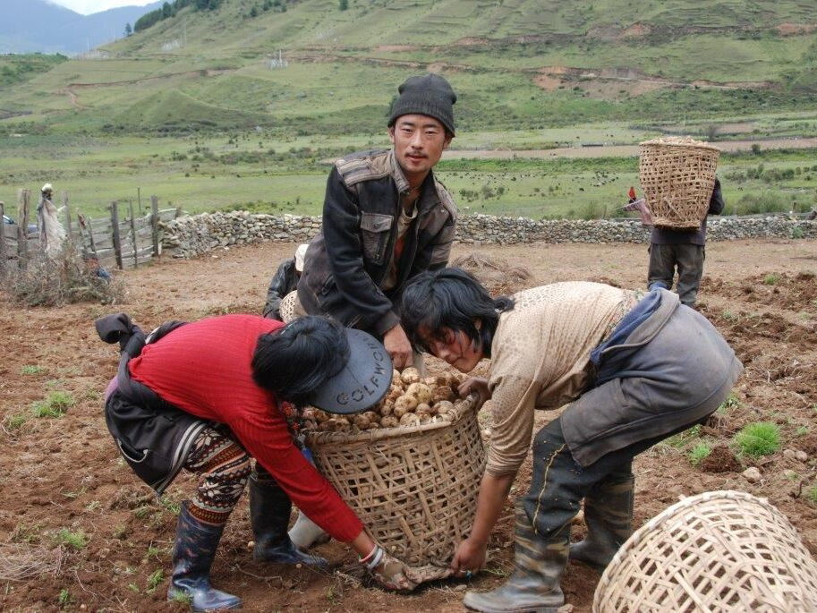 Nob Bhutan – ein Unternehmen für die Landwirtschaft