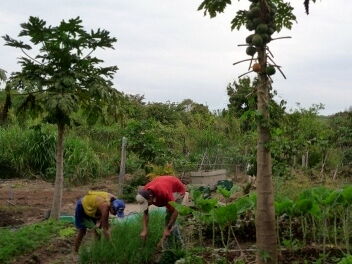 Agricultural school in Veredinha, Brazil