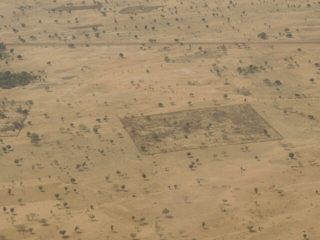 newTree - Landeinzäunung in Burkina Faso