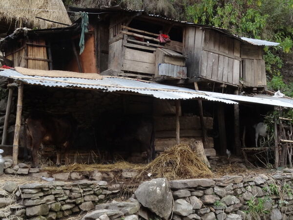 WAWCAS Nepal - Women at Work, Children at School