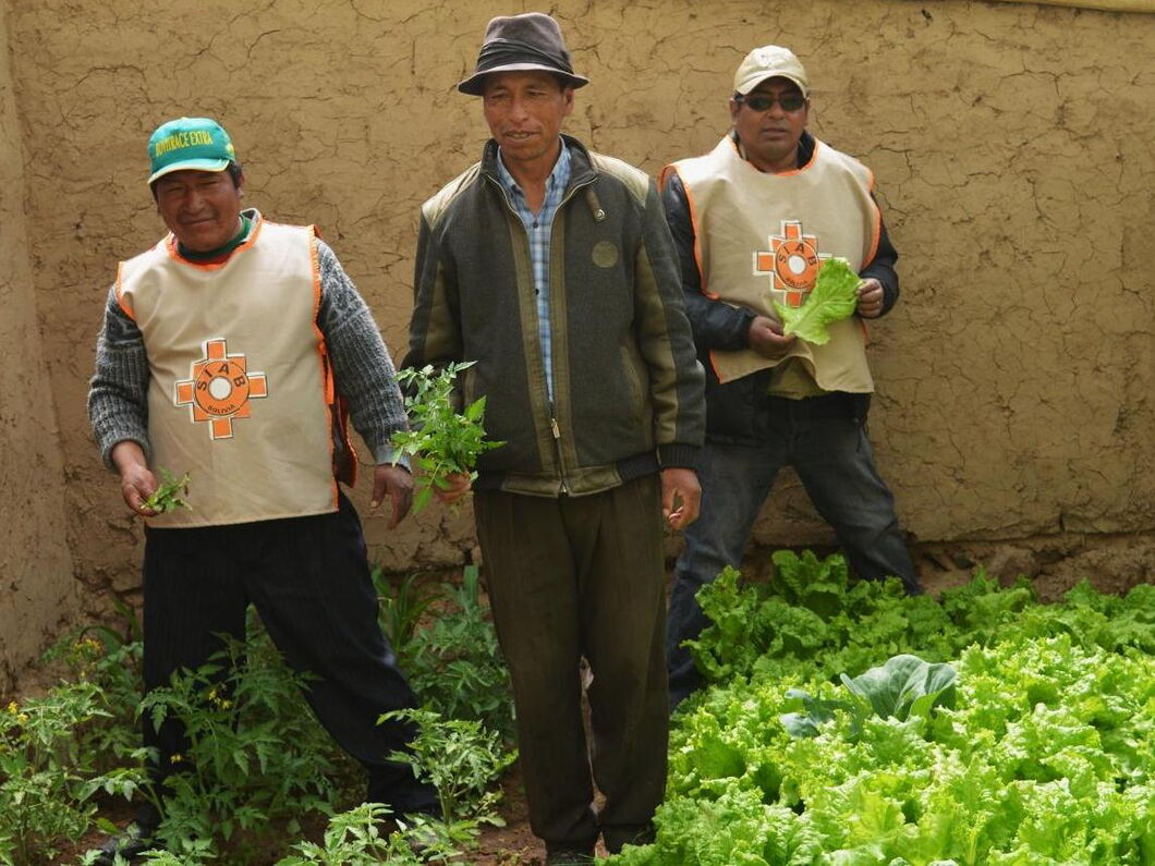 Bolivian Farmers in a Greenhouse