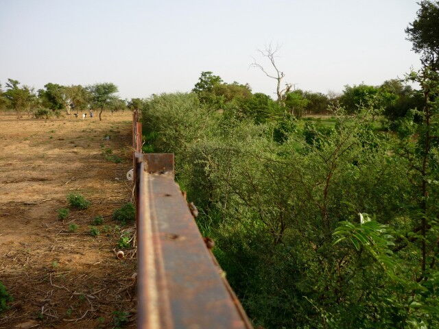 Nachhaltige Kaffeeproduktion in Sambia