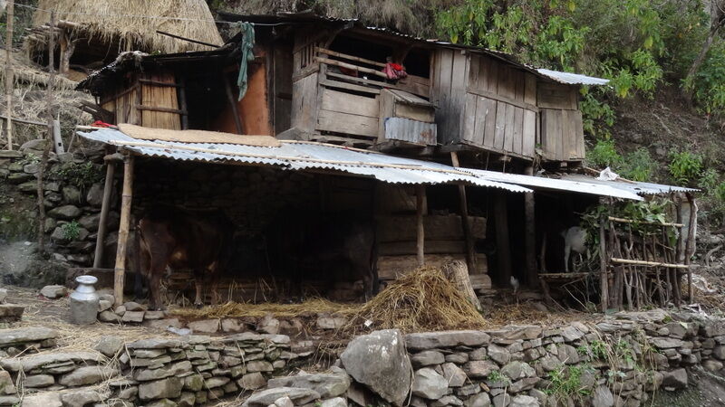 Sustainable Coffee Production in Zambia