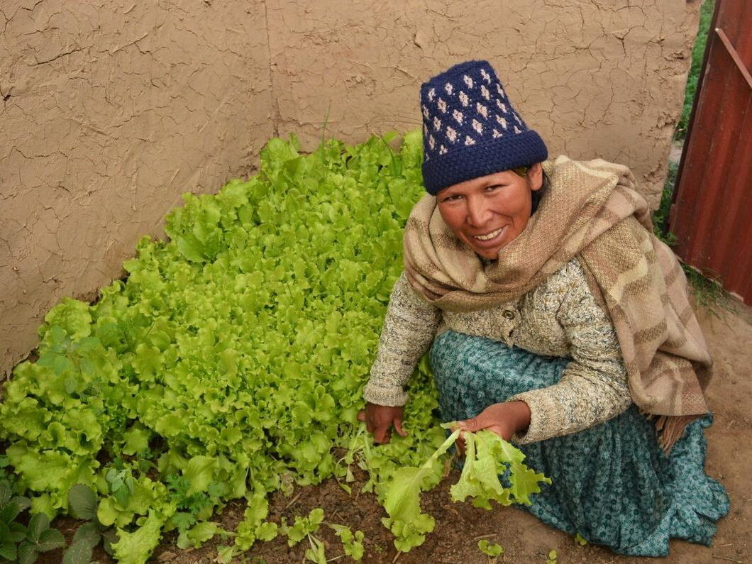 Smiling bolivian Woman in a Greenhouse