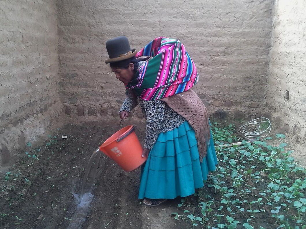Woman irrigating in a Greenhouse