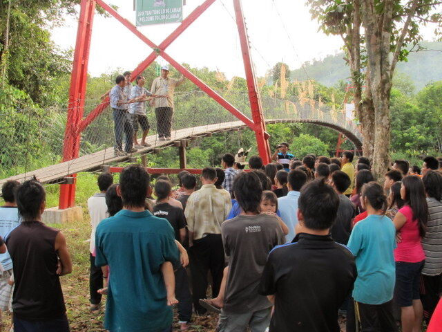 Bridges in the rainforest of Borneo