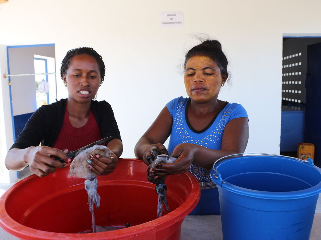 Madagaskar: neuer Kühlwagen bringt frische Meeresfrüchte